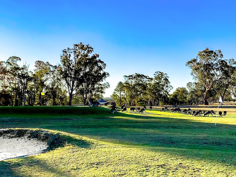 Stanthorpe Golf Club