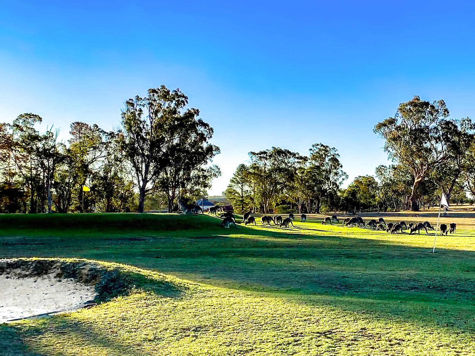Stanthorpe Golf Club