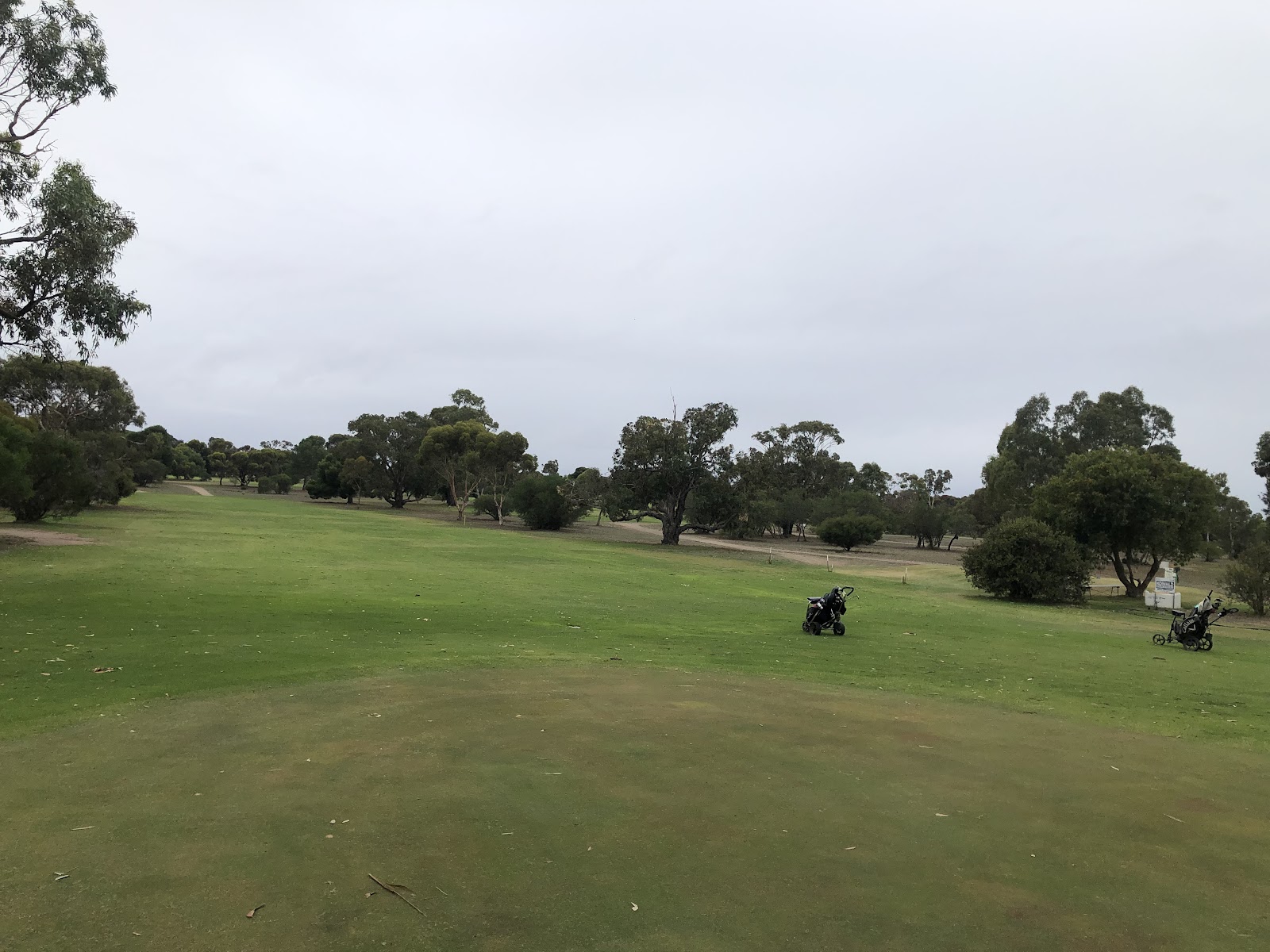 Tailem Bend Golf Club