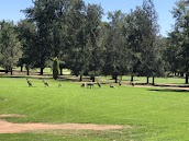 Dubbo Golf Club