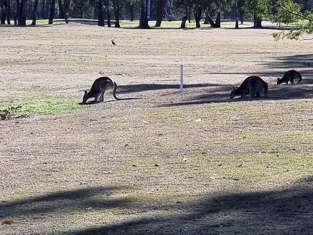 Clifton Golf Club