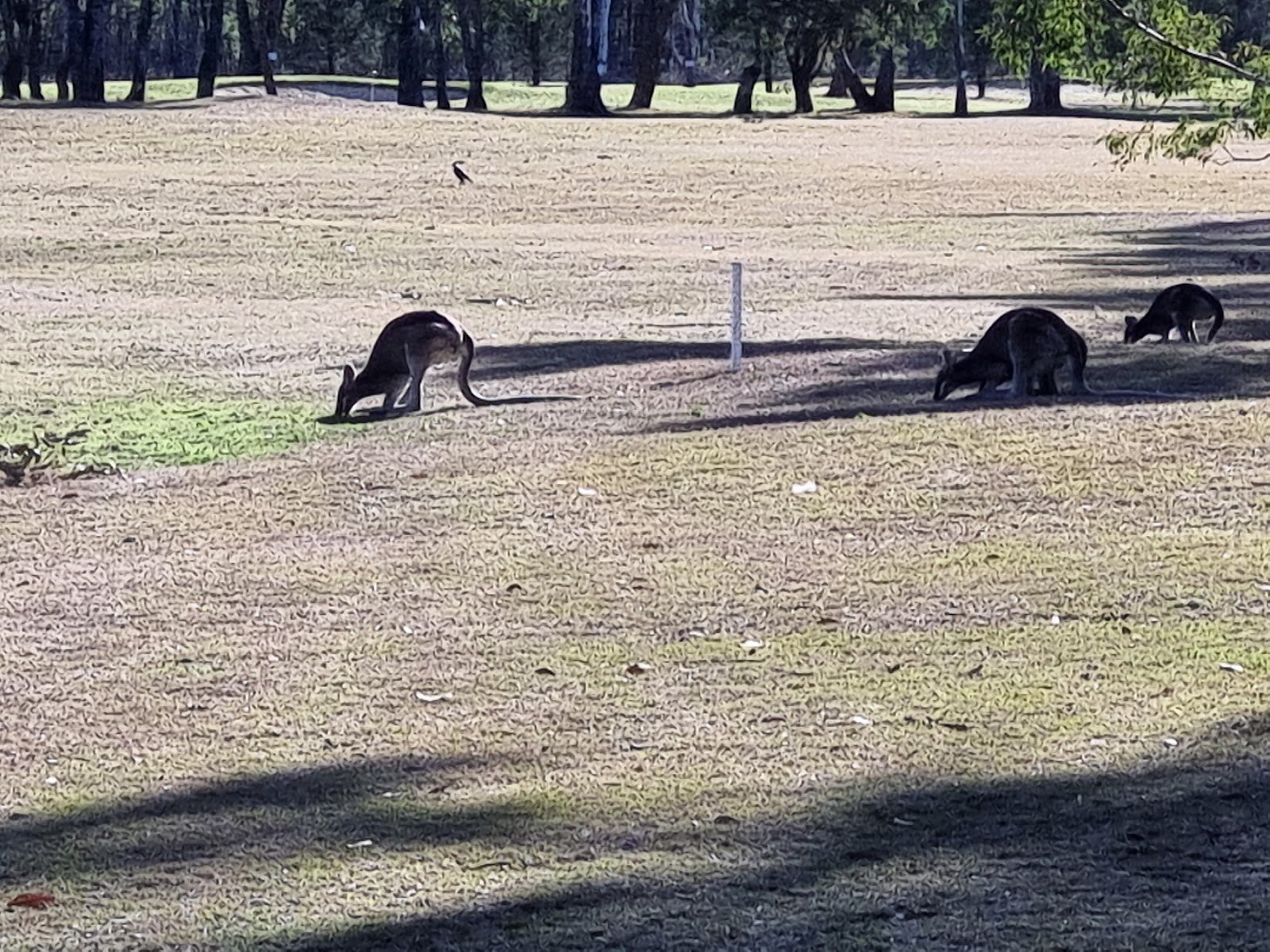 Clifton Golf Club