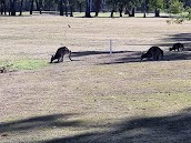 Clifton Golf Club