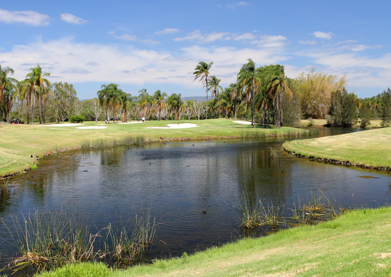 Palm Meadows Golf Course