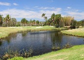 Palm Meadows Golf Course