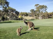 Wirrina Cove Golf Course