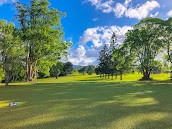 Millaa Millaa Golf Club