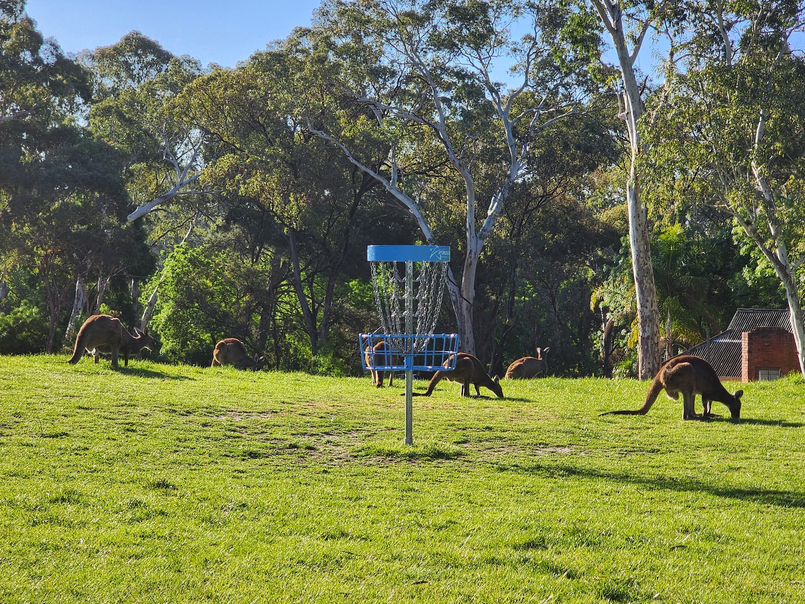 Belair Park Golf Club