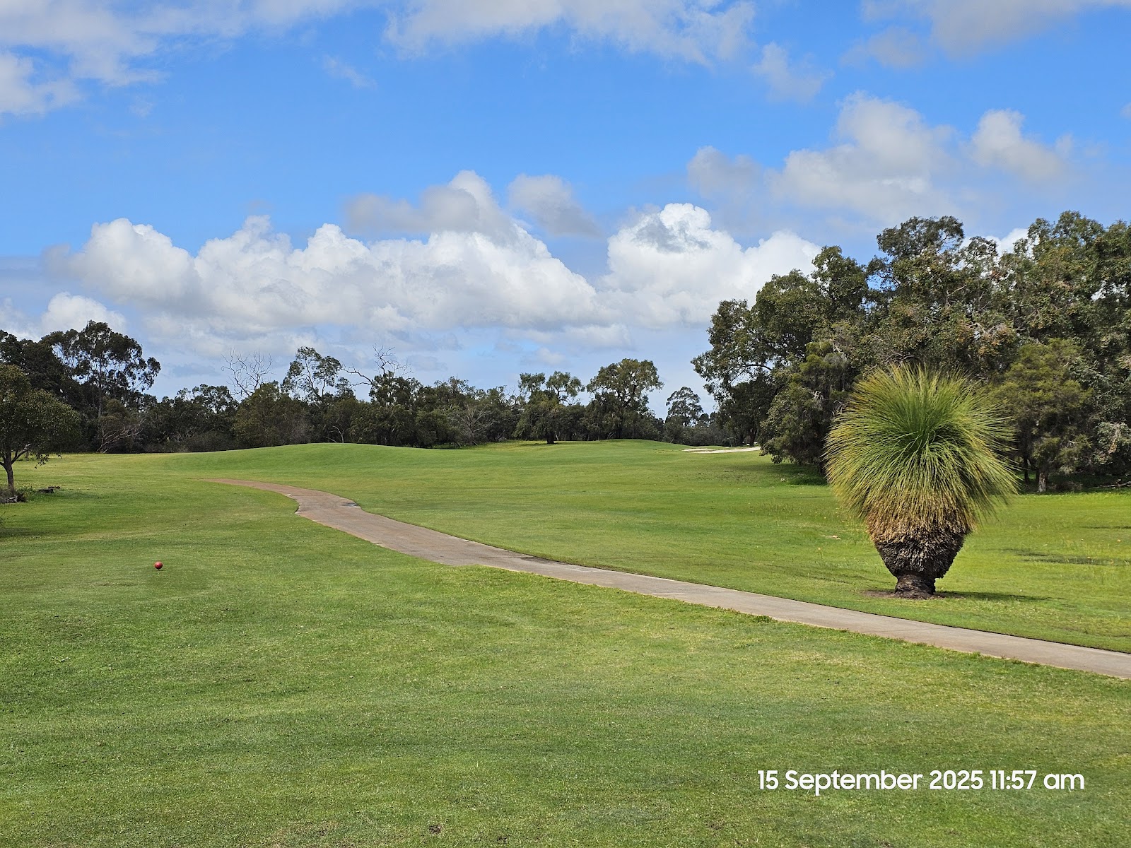The Vines Golf Club of Reynella