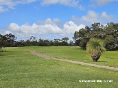 The Vines Golf Club of Reynella