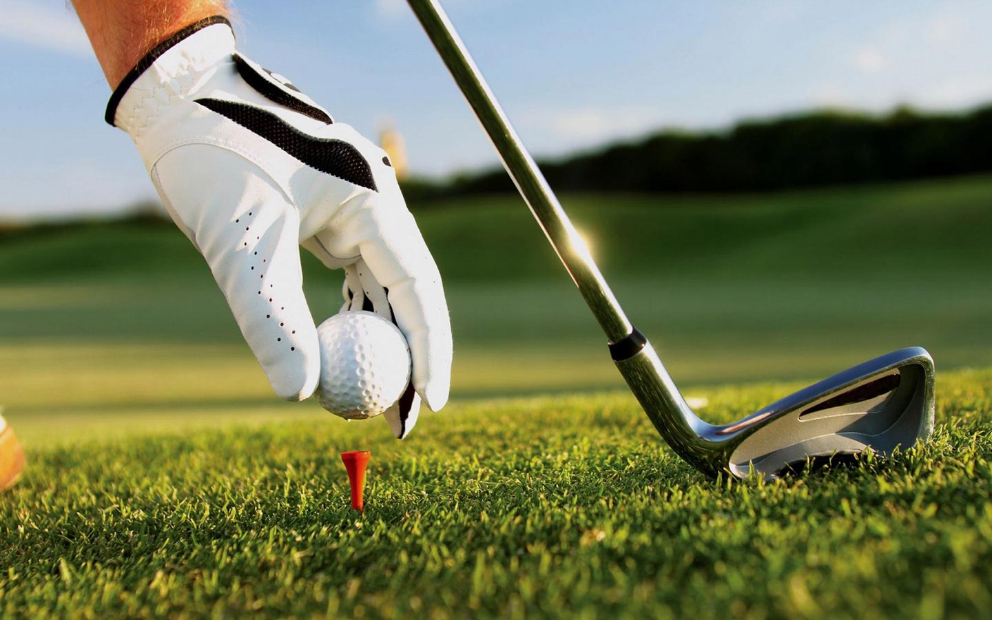 Sylvania Par 3 Golf and Soccer