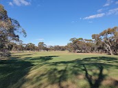 Pinnaroo Golf Course