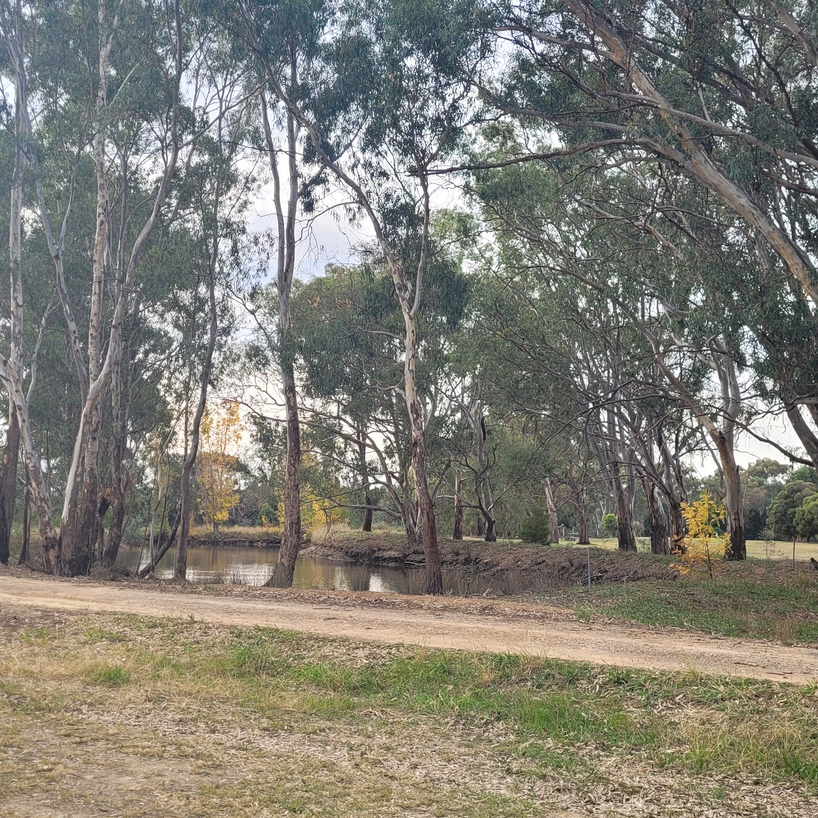 Merrigum Golf Club