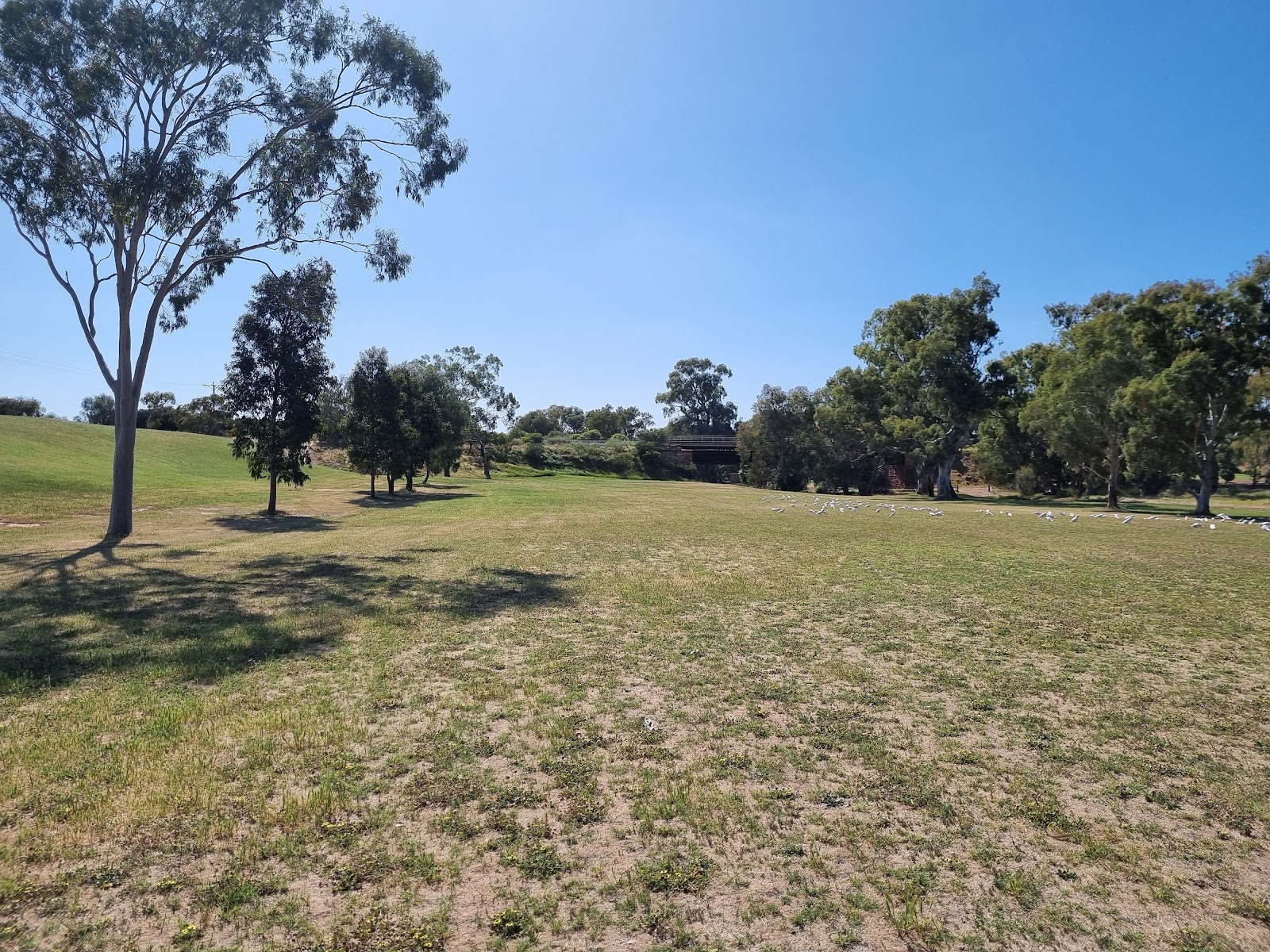 Crystal Brook Golf Course