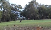 Dunsborough Country Club