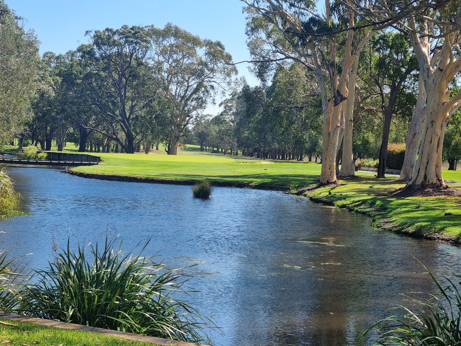 Sawtell Golf Club