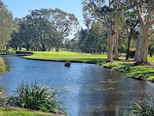 Sawtell Golf Club