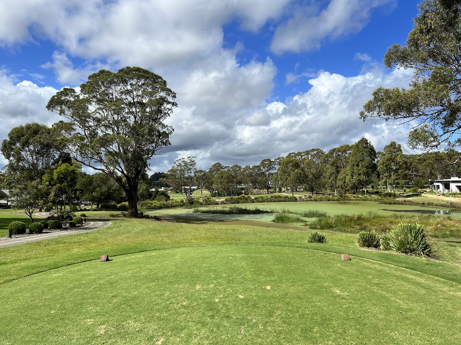 The Vintage Golf Club