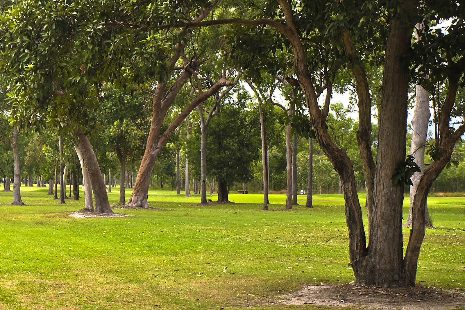 Cardwell Golf Club