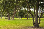 Cardwell Golf Club