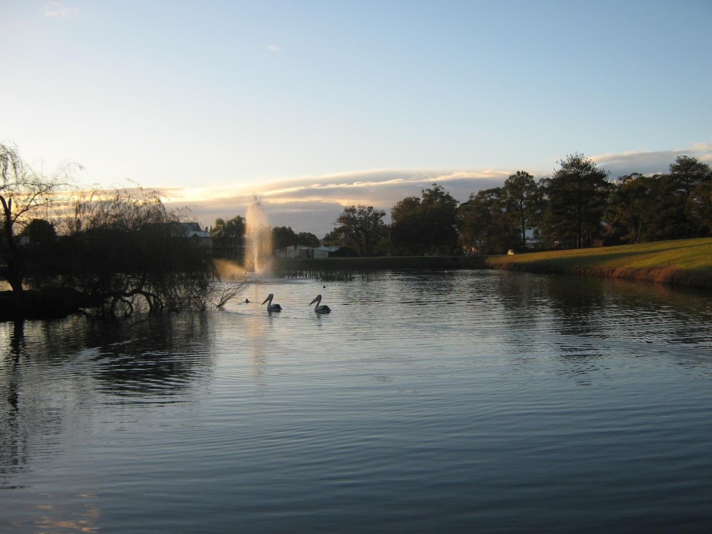 Wauchope Country Club