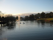 Wauchope Country Club
